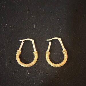 Elegant Gold/Silver Hoop Earrings